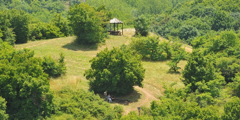 Sokobanja