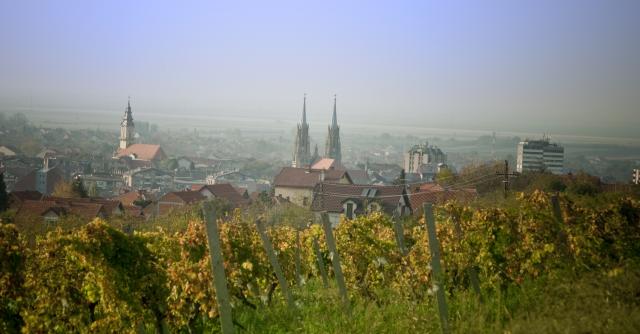 Magija Vršca: Krofne, vino i "Kir Janja"